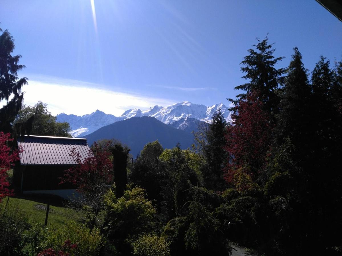 Mont Etape , F2, 42 M2, Calme, Vue Mt Blanc Apartment Passy  Bilik gambar